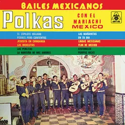 Polkas Bailes Mexicanos