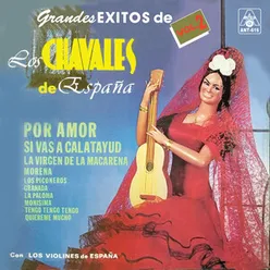 Grandes Exitos de Los Chavales De España, Vol. 2