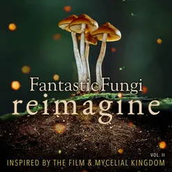 Mycelia Fantastic Fungi: Reimagine