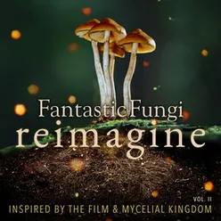 Fantastic Fungi: Reimagine, Vol. II Inspired by the Film & Mycelial Kingdom