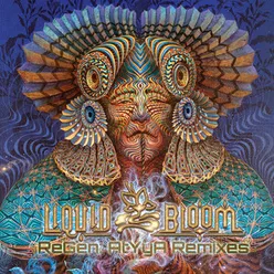 Regen Atyya Remixes