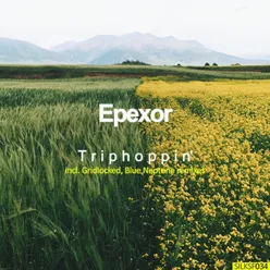 Triphoppin' (Gridlocked Remix)