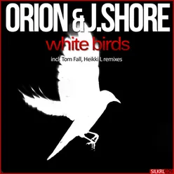 White Birds (Heikki L Remix)
