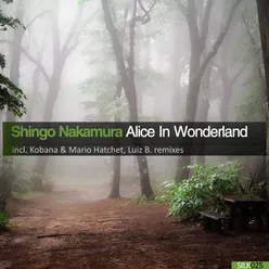 Alice In Wonderland (Luiz B Remix)