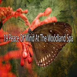 19 Peace Of Mind At The Woodland Spa