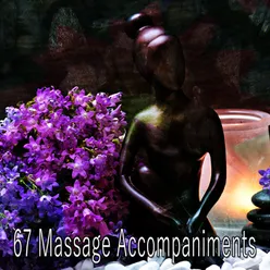 67 Massage Accompaniments