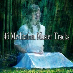46 Meditation Master Tracks
