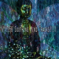 !!!!58 Soothing Mind Tracks!!!!