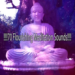 !!!!70 Flourishing Meditation Sounds!!!!