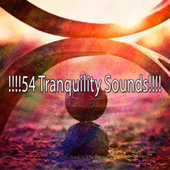 !!!!54 Tranquility Sounds!!!!