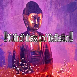 !!!!40 Mindfulness And Meditation!!!!