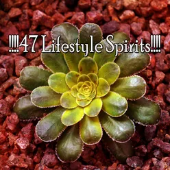 !!!!47 Lifestyle Spirits!!!!