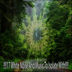 !!!!17 White Noise And Music To Isolate With!!!!