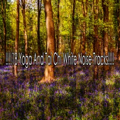 !!!!18 Yoga And Tai Chi White Noise Tracks!!!!