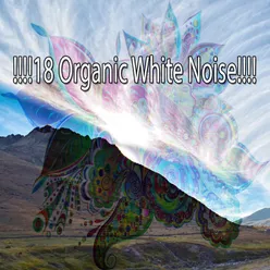 !!!!18 Organic White Noise!!!!