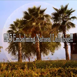 !!!!23 Embalming Natural Lullabye!!!!