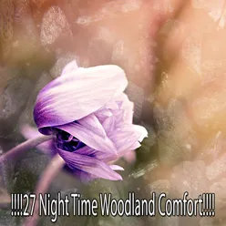 !!!!27 Night Time Woodland Comfort!!!!