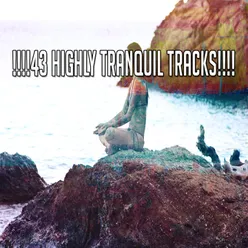 !!!!43 Highly Tranquil Tracks!!!!