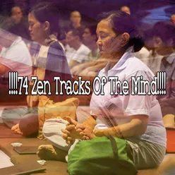 !!!!74 Zen Tracks Of The Mind!!!!