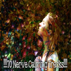 !!!!70 Nerve Calming Tracks!!!!