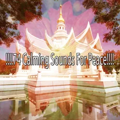 !!!!74 Calming Sounds For Peace!!!!