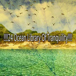 !!!!24 Ocean Library Of Tranquility!!!!