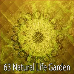 63 Natural Life Garden