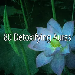 80 Detoxifying Auras