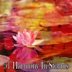 51 Harmony In Storms