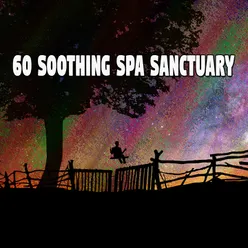 60 Soothing Spa Sanctuary