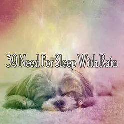 39 Need For Sleep With Rain