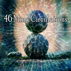 46 Mind Circulations