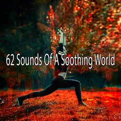 62 Sounds Of A Soothing World