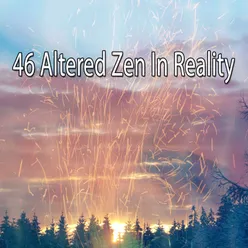 46 Altered Zen In Reality