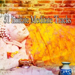 51 Imitate Meditate Tracks