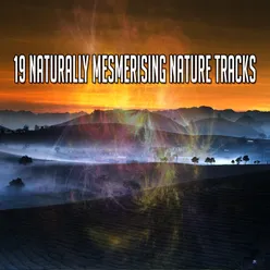 19 Naturally Mesmerising Nature Tracks