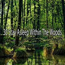 30 Stay Asleep Within The Woods