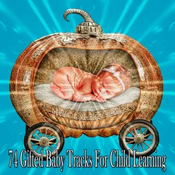 74 Gifted Baby Tracks For Child Learning