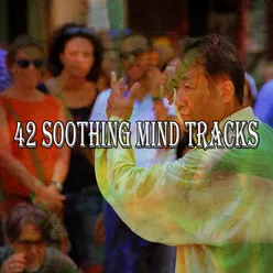 42 Soothing Mind Tracks