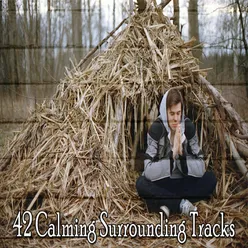 42 Calming Surrounding Tracks