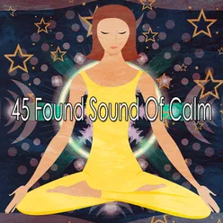 !!!!45 Found Sound Of Calm!!!!
