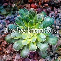 !!!!49 Inner Peace Harmonious Sounds!!!!