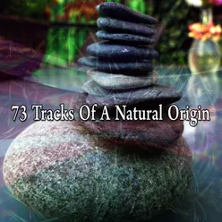 !!!!73 Tracks Of A Natural Origin!!!!