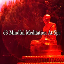 !!!!63 Mindful Meditation At Spa!!!!