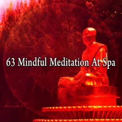 Meditate To Accommodate