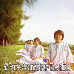 !!!!62 Pure Sounds For The Mind!!!!