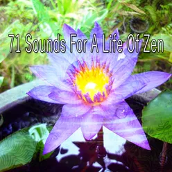 !!!!71 Sounds For A Life Of Zen!!!!
