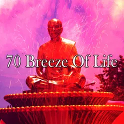 !!!!70 Breeze Of Life!!!!