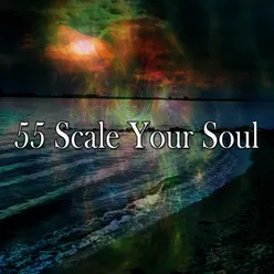 !!!!55 Scale Your Soul!!!!