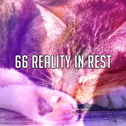 !!!!66 Reality In Rest!!!!